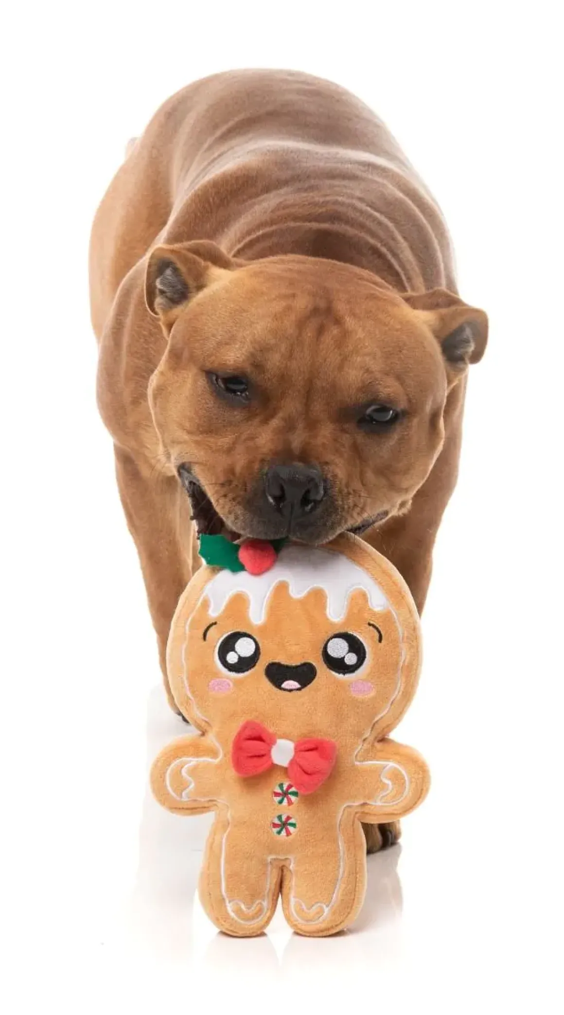 Mistle-Dough - Dog Toy