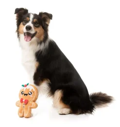Mistle-Dough - Dog Toy