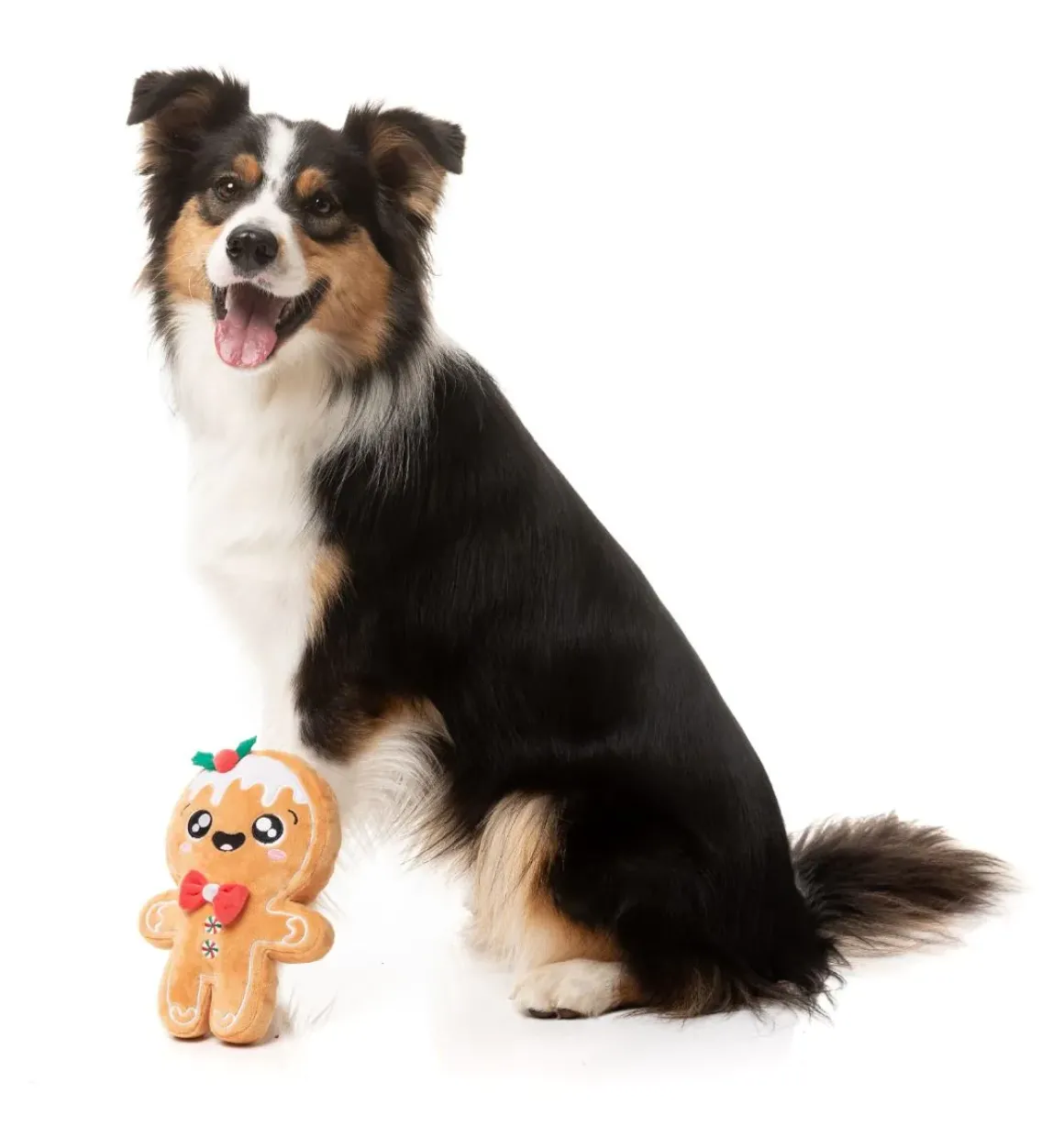 Mistle-Dough - Dog Toy