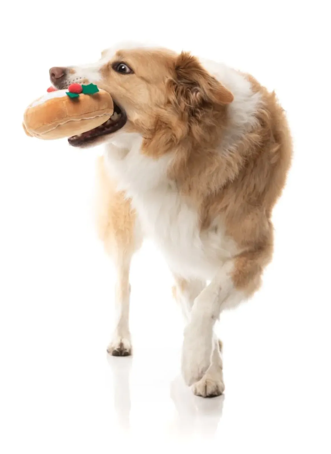 Mistle-Dough - Dog Toy