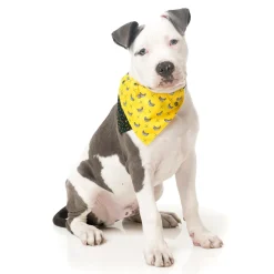Monkey Mania Pet Bandana