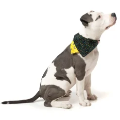 Monkey Mania Pet Bandana