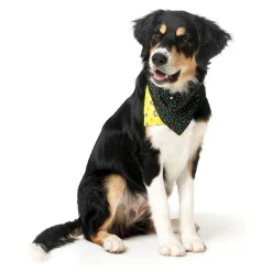 Monkey Mania Pet Bandana