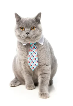 Monsieur Guava Necktie