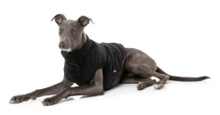 Mosman Puffer Jacket - Black