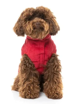 Mosman Puffer Jacket - Red