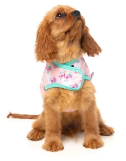 Mr Sparkles Wrap Vest