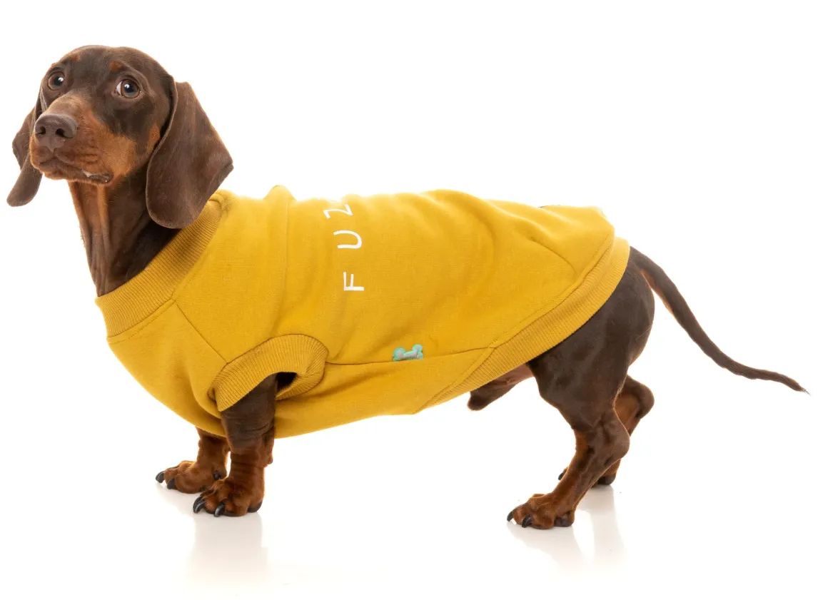 Mustard Street Sweater