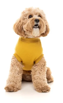 Mustard Street Sweater