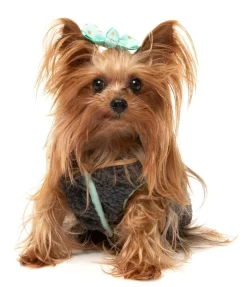 Nara 25 Jacket - Grey