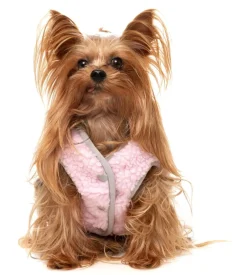 Nara 25 Jacket - Pink