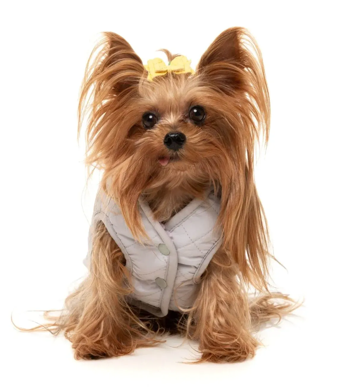 Nara 25 Jacket - Pink