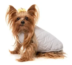 Nara 25 Jacket - Pink