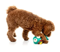 Neck Minnits - Loch Neck Monster