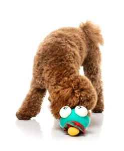 Neck Minnits - Loch Neck Monster