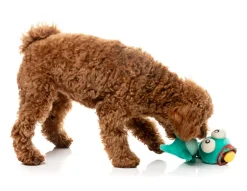 Neck Minnits - Loch Neck Monster