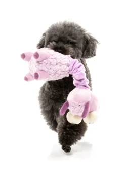 Neck Minnits - Neckita The Llama