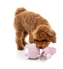 Neck Minnits - Neckita The Llama