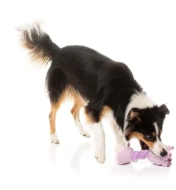 Neck Minnits - Neckita The Llama