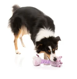 Neck Minnits - Neckita The Llama