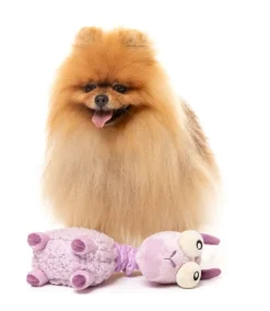 Neck Minnits - Neckita The Llama