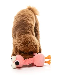 Neck Minnits - Neckole The Flamingo