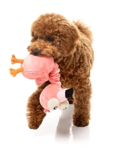 Neck Minnits - Neckole The Flamingo