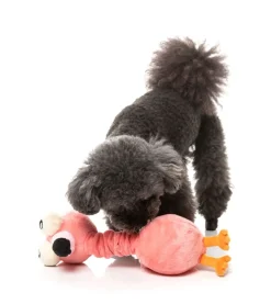 Neck Minnits - Neckole The Flamingo