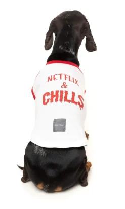 Netflix & Chills - T-Shirt