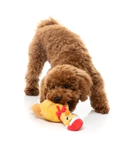 Never Skip Leg Day Chook - Dog Toy