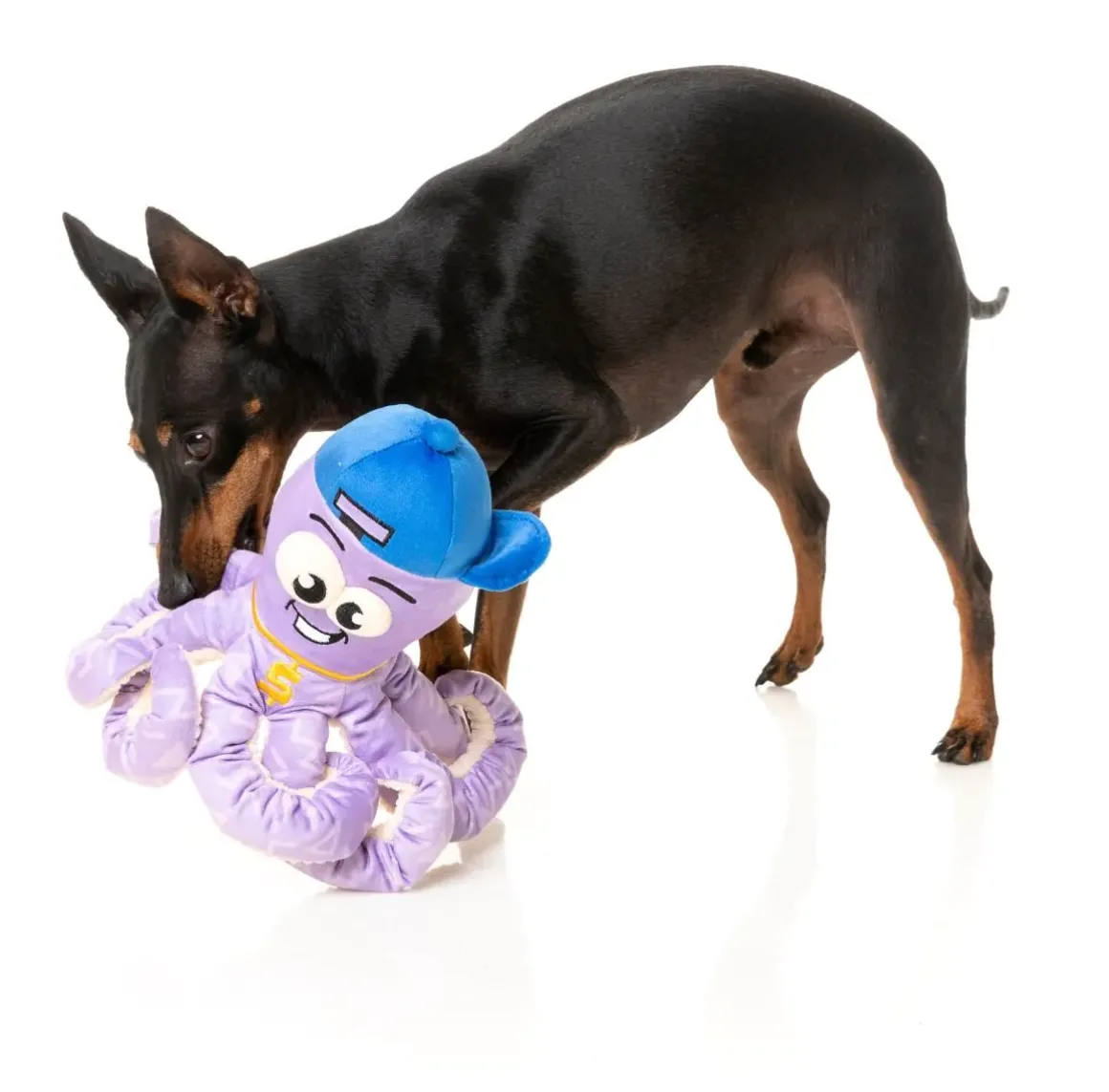 Octo-Posse Dog Toy - Hip-Hoptopus