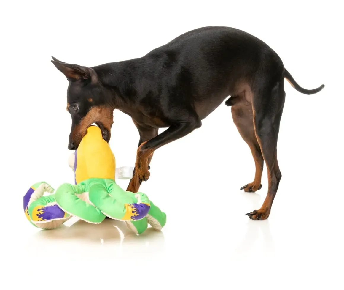 Octo-Posse Dog Toy - Octo the Outrageous