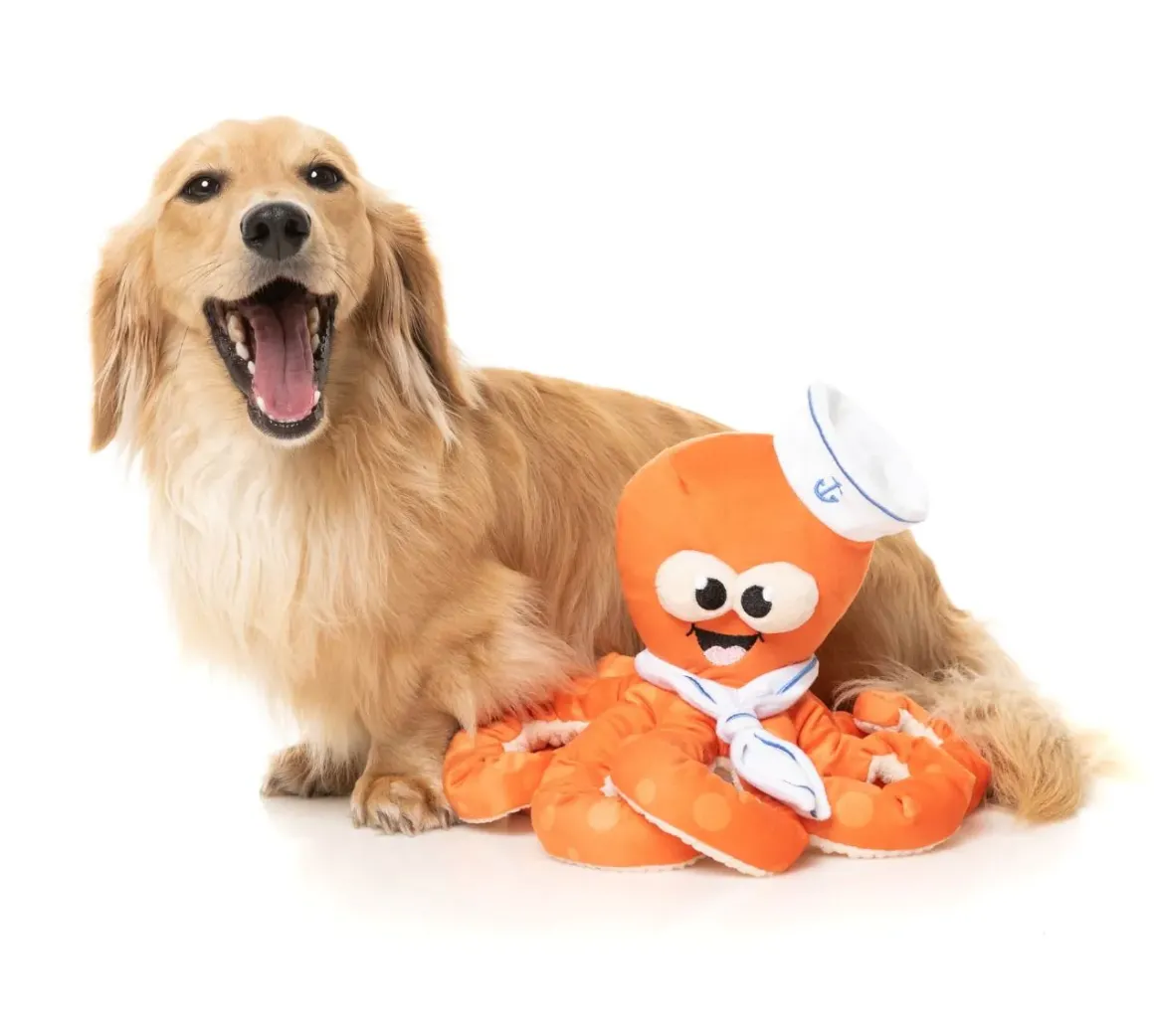Octo-Posse Dog Toy - Sailor Squiggles