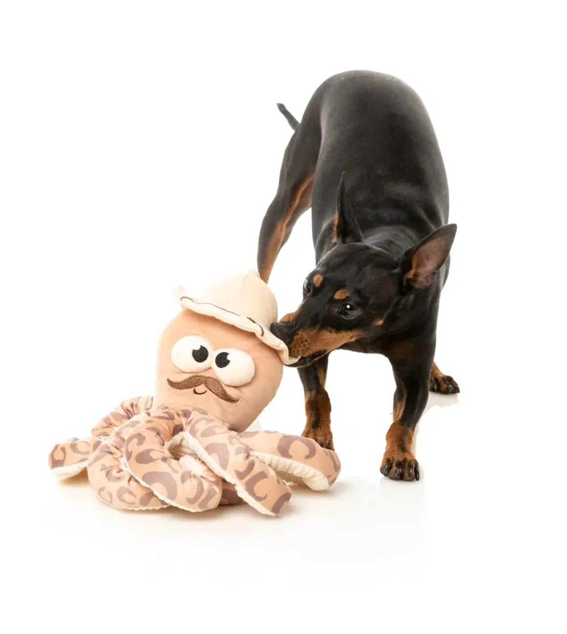 Octo-Posse Dog Toy - Sir David Octoborough