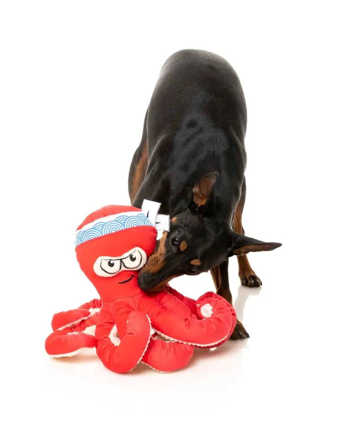 Octo-Posse Dog Toy - Takoyaki