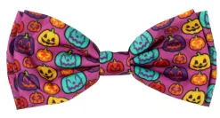 Oh My Gourd! - Dog 2 Pack