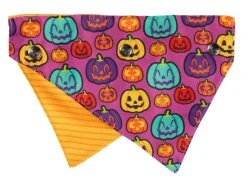 Oh My Gourd! - Dog 2 Pack