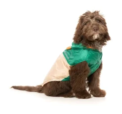 Ormond Raincoat - Green/Beige