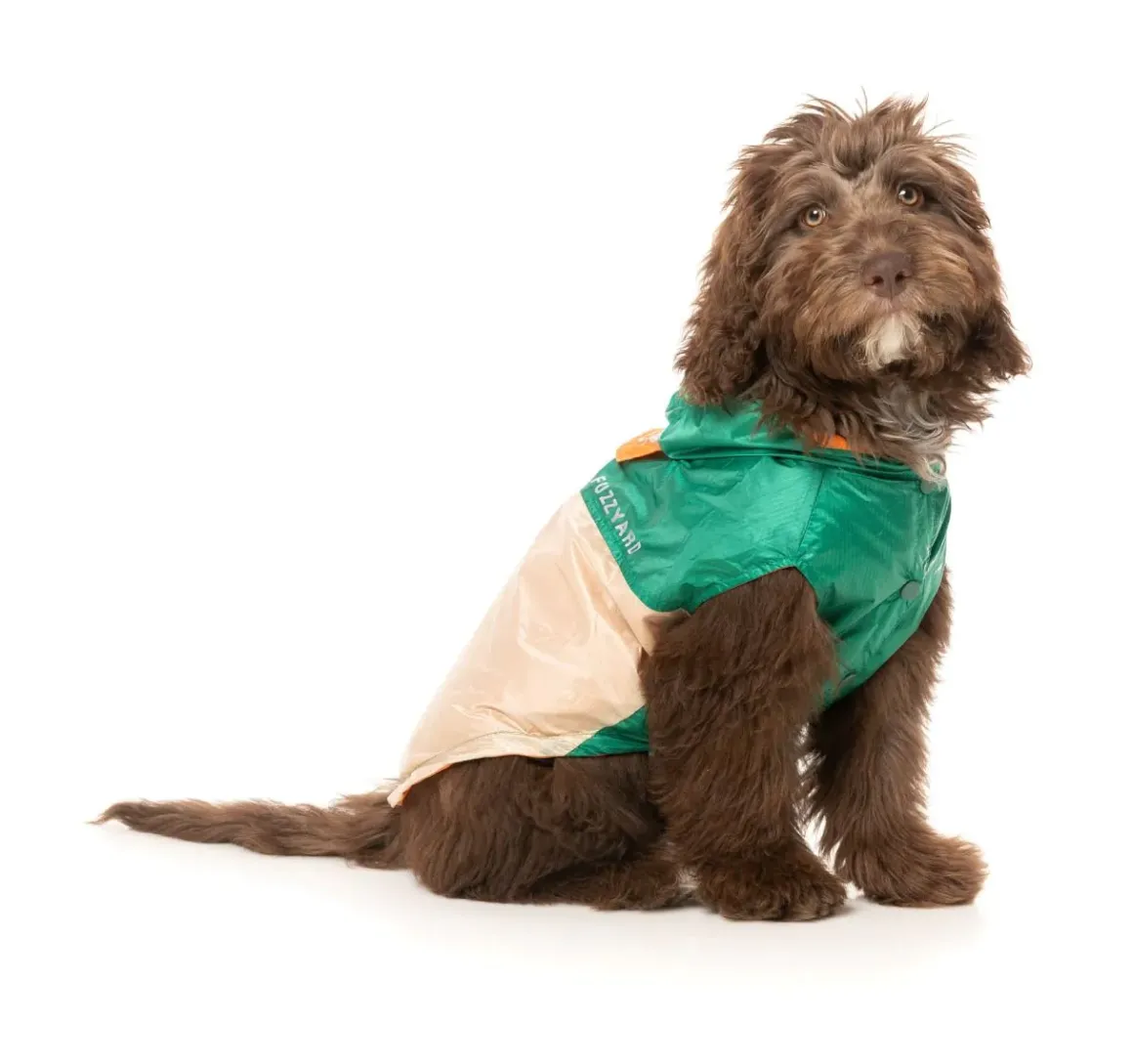 Ormond Raincoat - Green/Beige