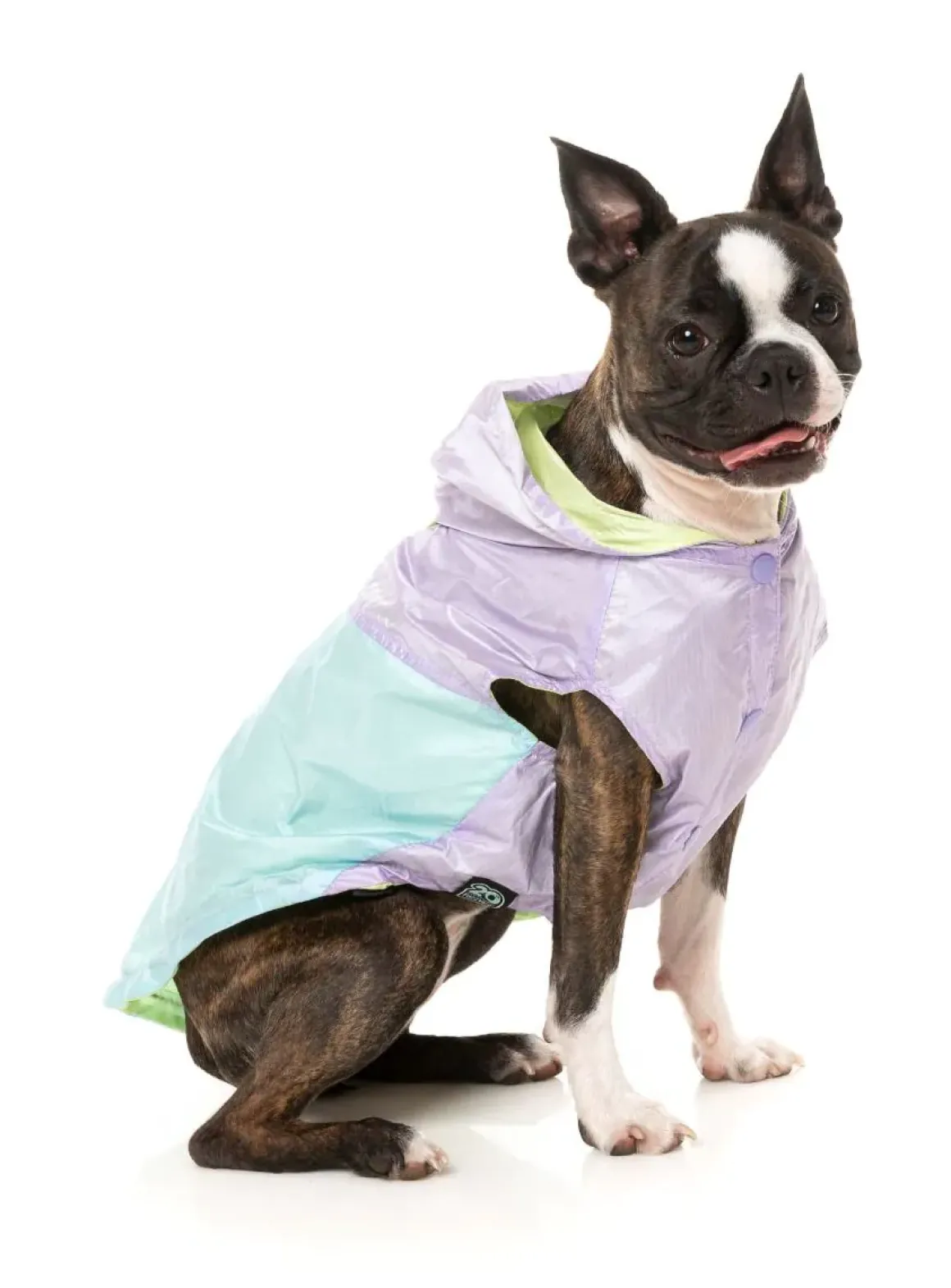 Ormond Raincoat - Purple/Blue