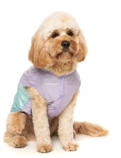 Ormond Raincoat - Purple/Blue