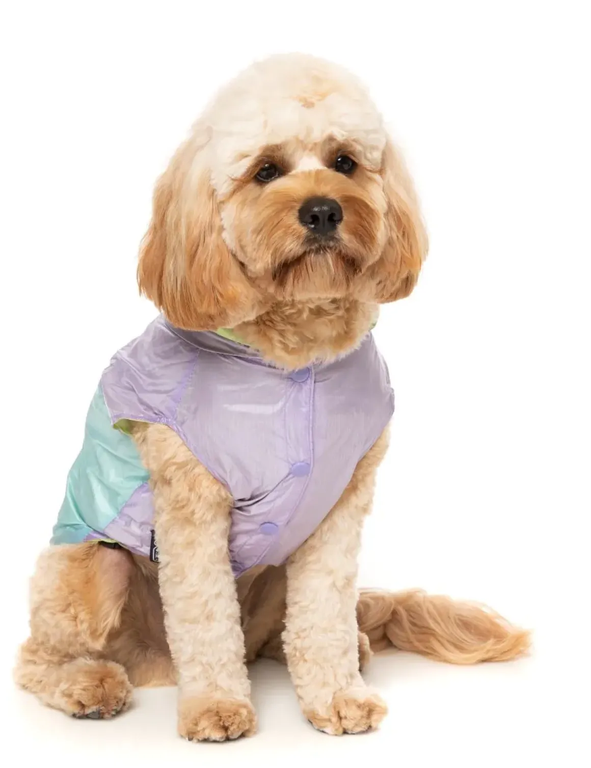 Ormond Raincoat - Purple/Blue