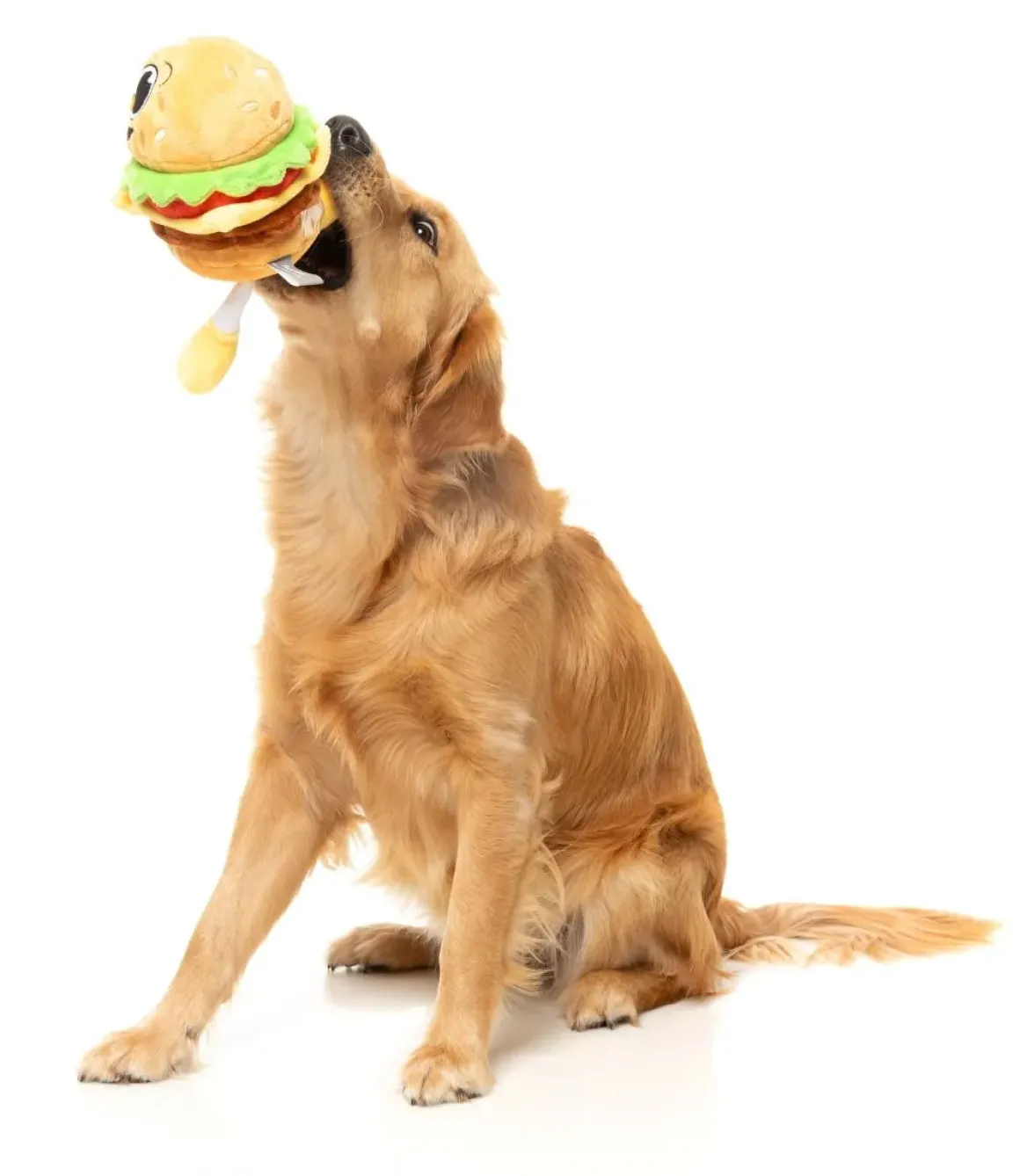 Patty - The Homies - Dog Toy