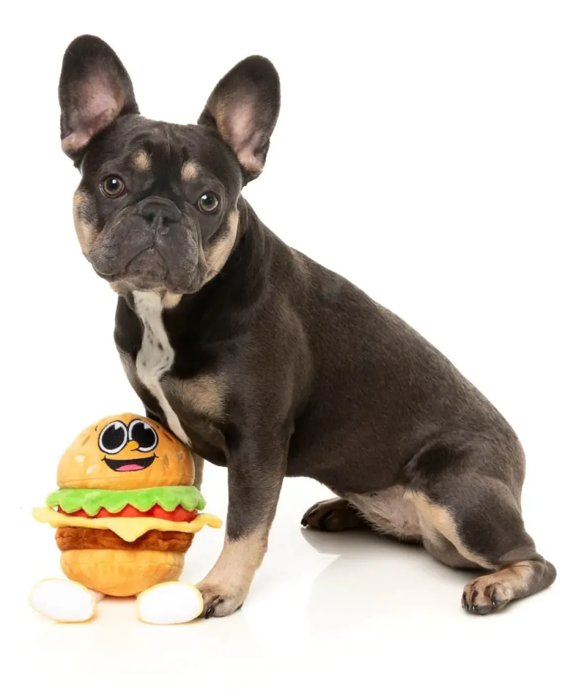 Patty - The Homies - Dog Toy