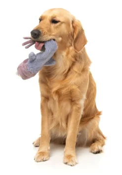 Peace Out Pigeon - The Yeetz - Dog Toy