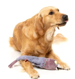 Peace Out Pigeon - The Yeetz - Dog Toy