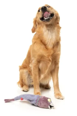 Peace Out Pigeon - The Yeetz - Dog Toy