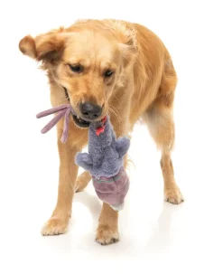 Peace Out Pigeon - The Yeetz - Dog Toy