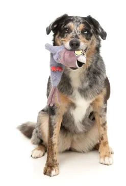 Peace Out Pigeon - The Yeetz - Dog Toy