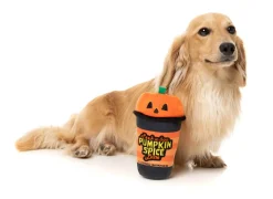 Peek-A-Boo Pumpkin Spice Latte - Dog Toy